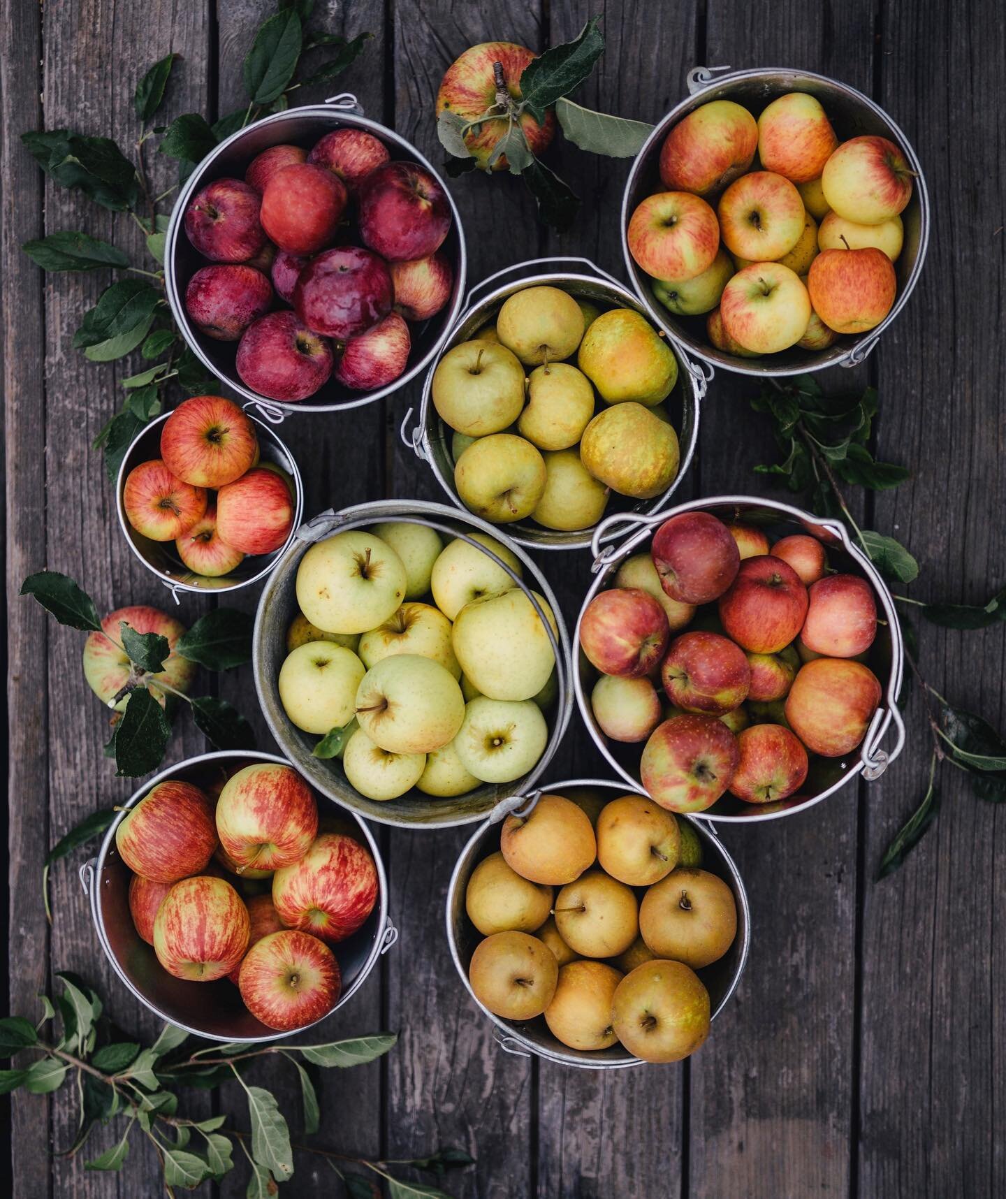 &ldquo;If you wish to make an apple pie from scratch, you must first invent the universe.&rdquo; &ndash; Carl Sagan

We had a big *aha* moment on @thecuratedfeast team when we realized we ALL understand this quote differently.

Perspective is everyth