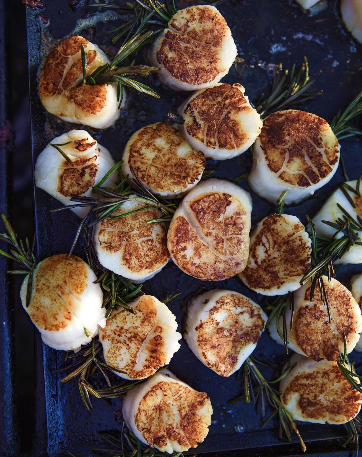 Scallops