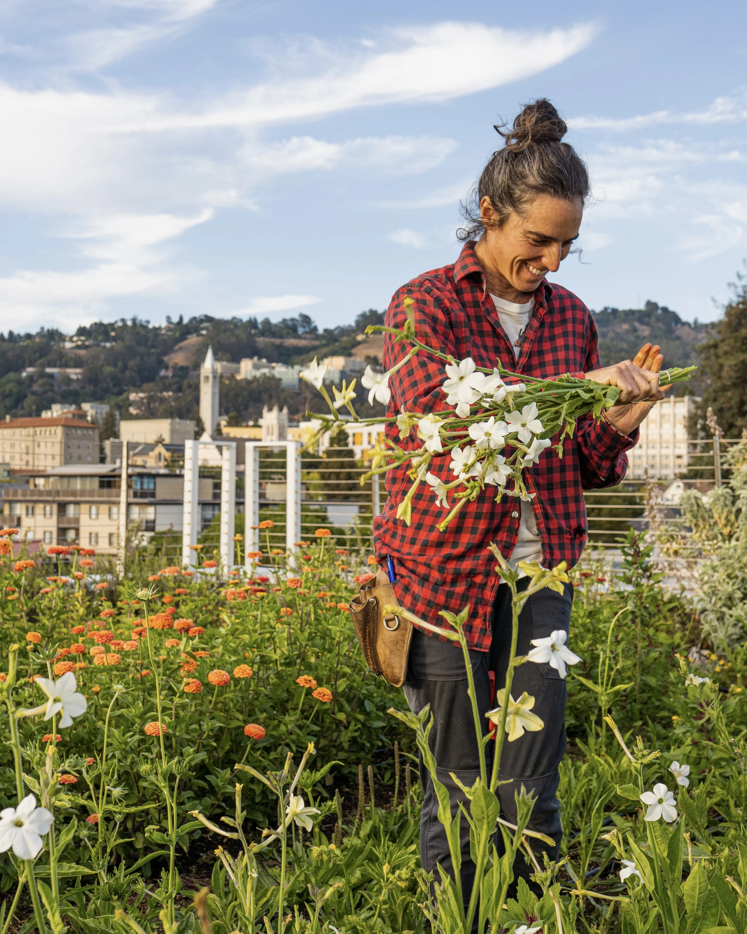 A Fresh Lens on Organic Hydroponics