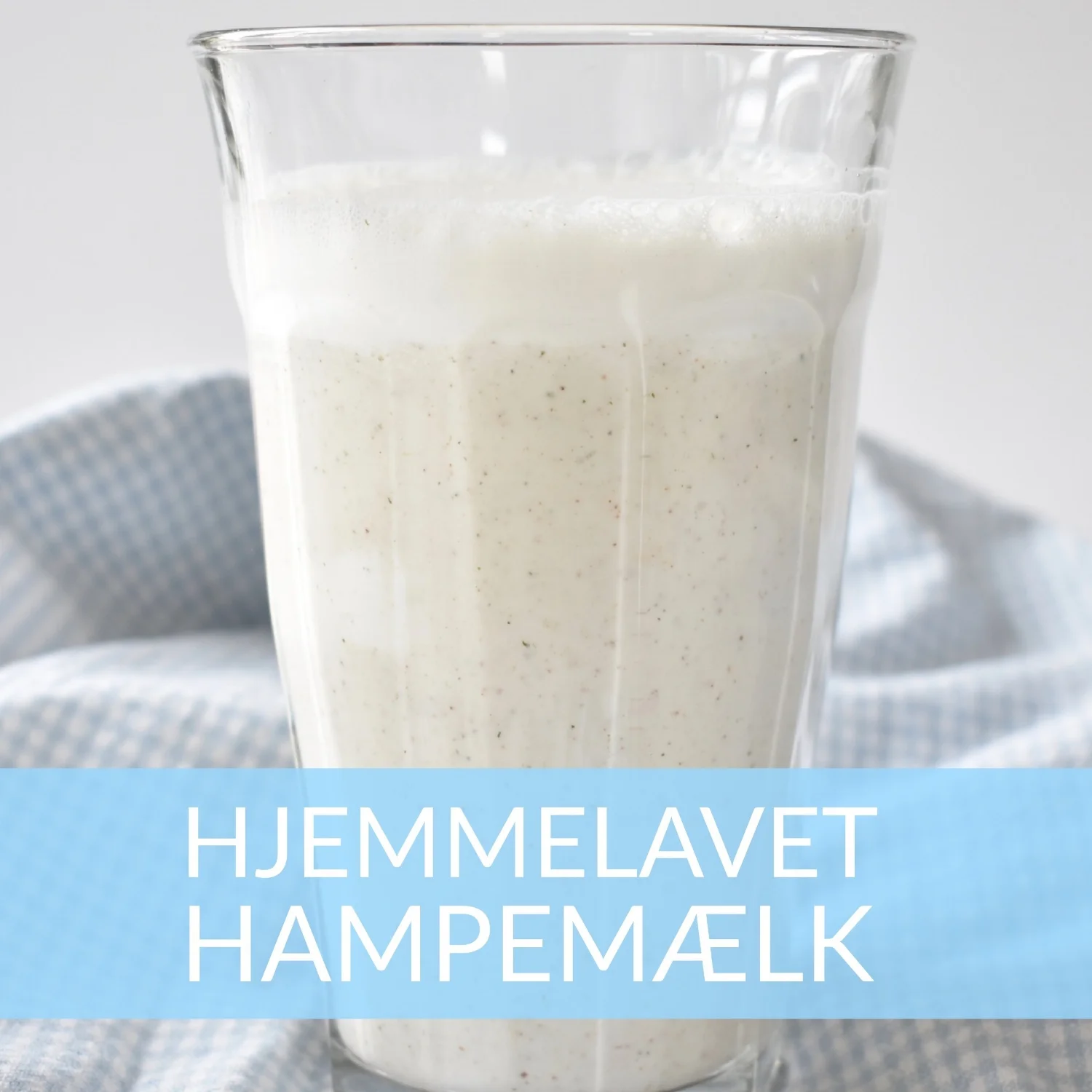 hamp.jpg