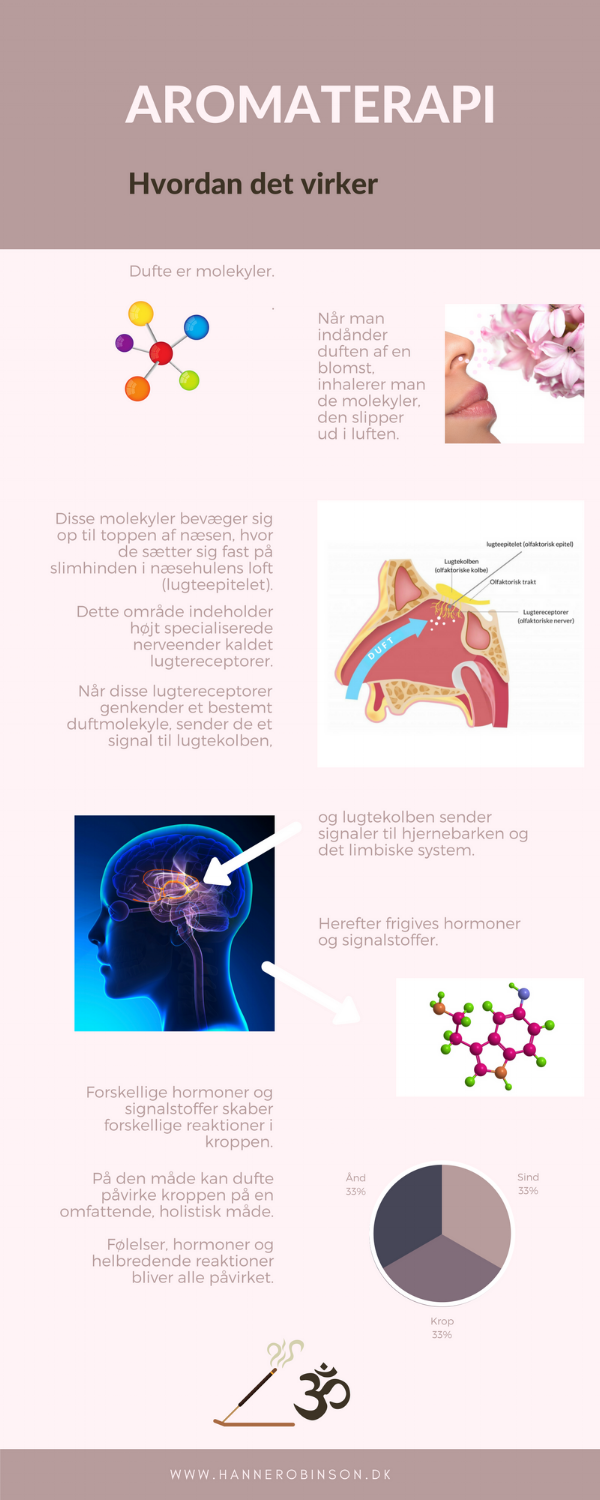 Det limbiske system i hjernen understøtter en række funktioner, herunder følelser, adfærd, motivation, langsigtet hukommelse og det styrer ved at påvirke hormoner og det autonome nervesystem. Det autonome nervesystem regulerer funktioner som hjertefrekvens, fordøjelse, vejrtrækning, pupilrespons, vandladning og seksuel ophidselse, og er den primære mekanisme der kontrollerer kæmp-eller-flygt-responsen.