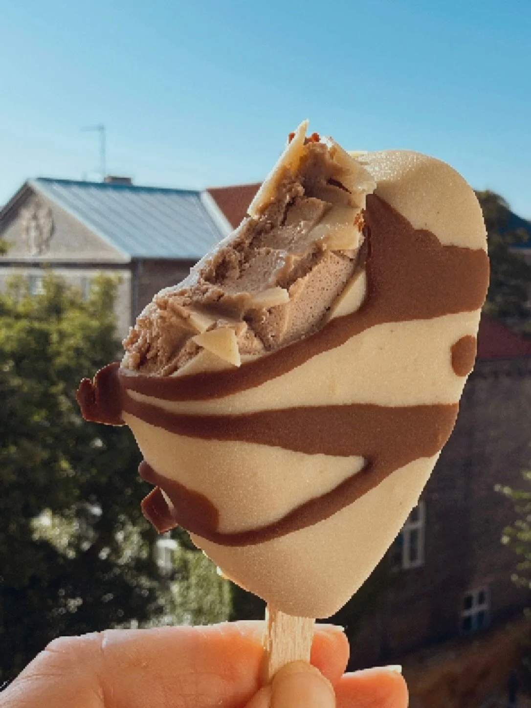 This is the most fabulous ice cream. It&rsquo;s creamy, sweet and quite easy to make. Find recipe on hannerobinson.dk search word: cashew 🤎🤍