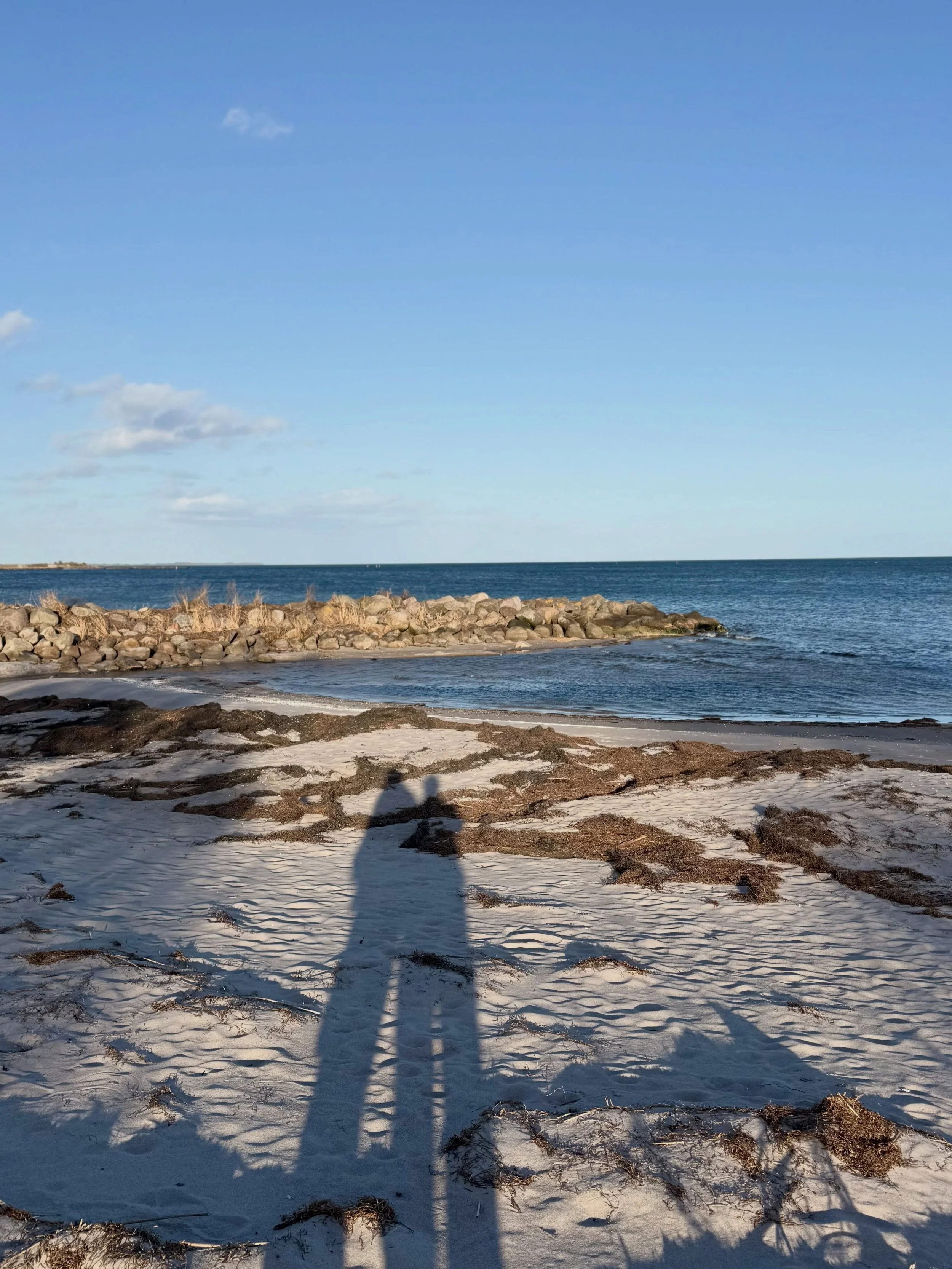 April dump 🌱💚 A lot of work. Inner work and workshops. And a lot of nice company.