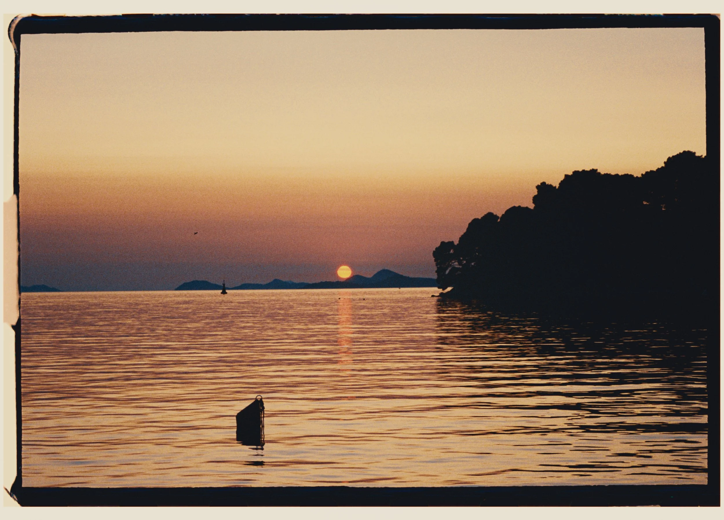 Juni_summer 25-18.JPG