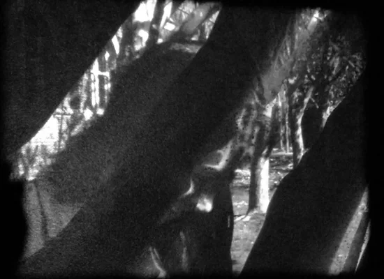 Would you like to be a part of the new 16mm and 8mm Melbourne based lab? AFW is having a proposal meeting this coming friday the 7th September at 7pm to be followed with screenings at 8pm by Keith Deverall , Melbourne artist and AFWer, B&W Reversal handwork from our workshop last month and our 16mm Colour Spectrum MIFF workshop! This is an open screening, anyone is welcome to bring along anything they wish to show on 8mm, super 8 or 16mm and we will show it (must be film only). Our plans for the lab will be going ahead, so please come along to this meeting if you are serious about partaking, it is important that we have your input. The Melbourne Lab will be a member based program and will be situated at Goodtime Studios . Members will have access to the darkroom, tanks, super 8 cameras, 16mm flat bed, winders and split reels and we have secured a 16mm contact printer! All this equipment has been shared by members, Thanks for all the contributions! Sign up fee will be $130 this will cover you for the first 6 months of rent, we would like you to bring this on the night (please let us know if you need to arrange an alternate payment, as smaller instalments will also be accepted). The equates to around $5 a week for access to all of above. We are looking at set-up on the 15 & 16 of September, help will be required on these days but will be further discussed in the meeting. BYO cushions & alcohol on the night! MEETINGS AT 7PM SCREENING AT 8PM GOODTIME STUDIOS basement 746 Swanston St in Carlton, (opposite Melbourne University) We would also like to announce an upcoming double exposure happiness workshop! (further details will be expressed at the screening)