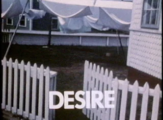 Still: Ken Kobland - Landscape and Desire (1980)