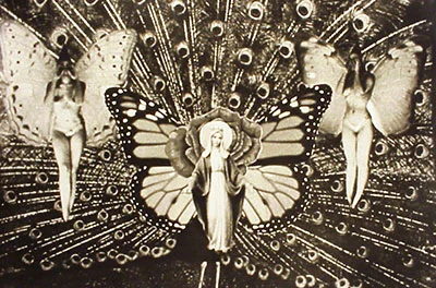 mystical rose .jpg