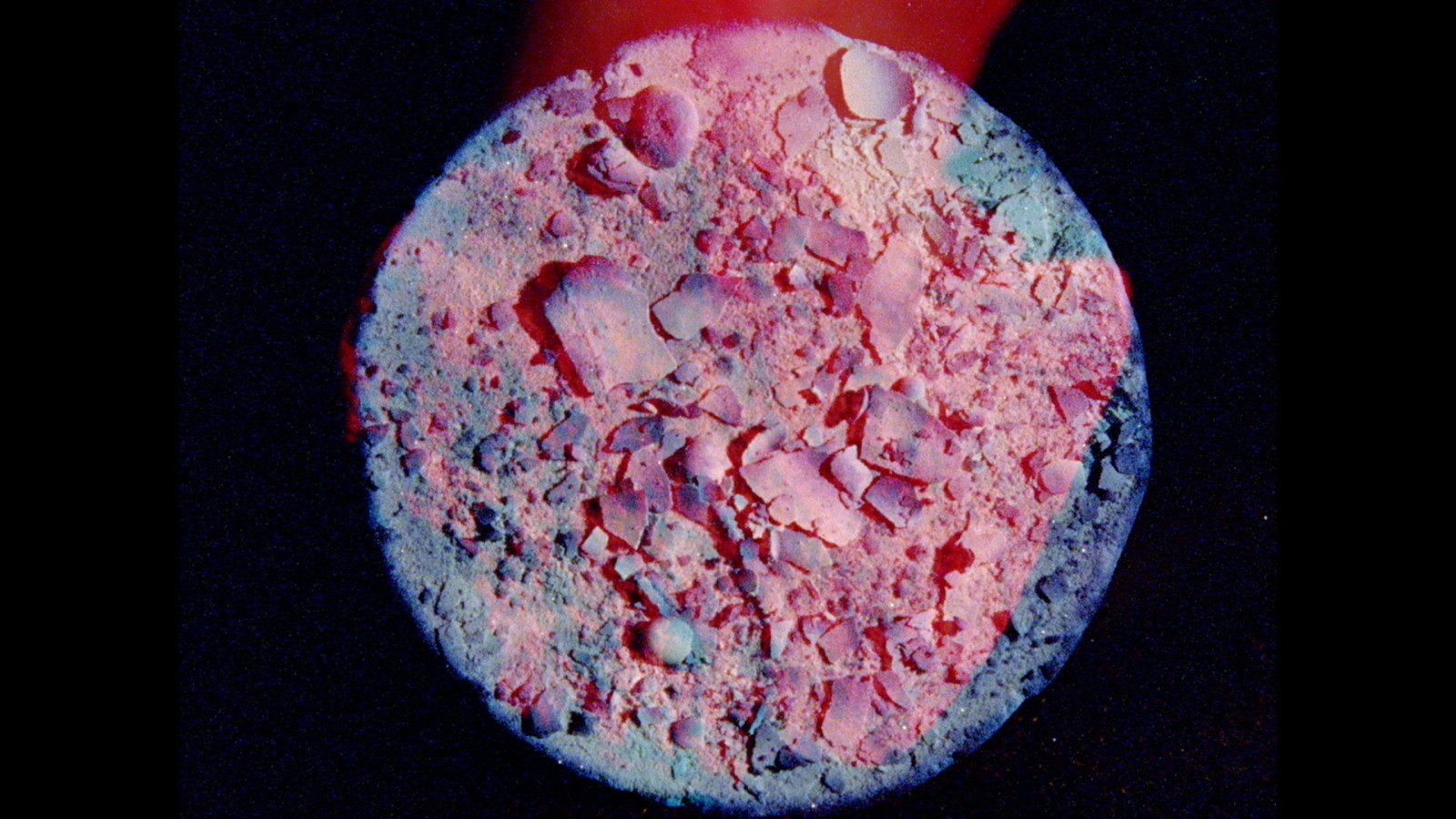 Shorts Program 2.jpg