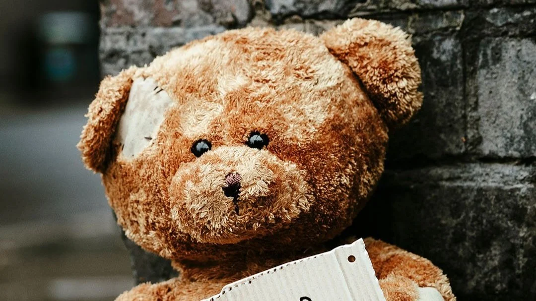 740893_APAP_Digital_6Sheet-NewPhoto-Bear.jpg