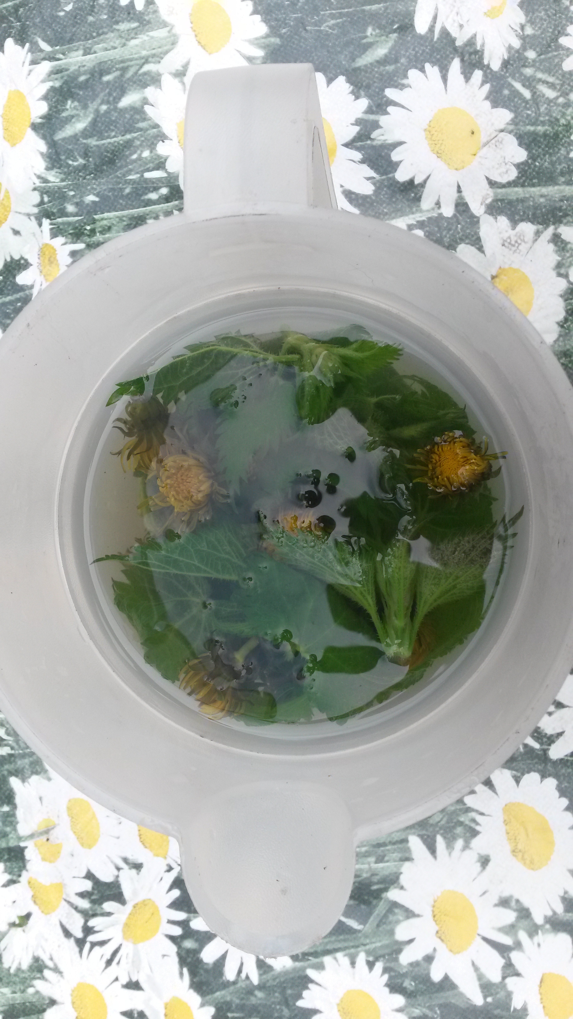 20160512_100600.jpg