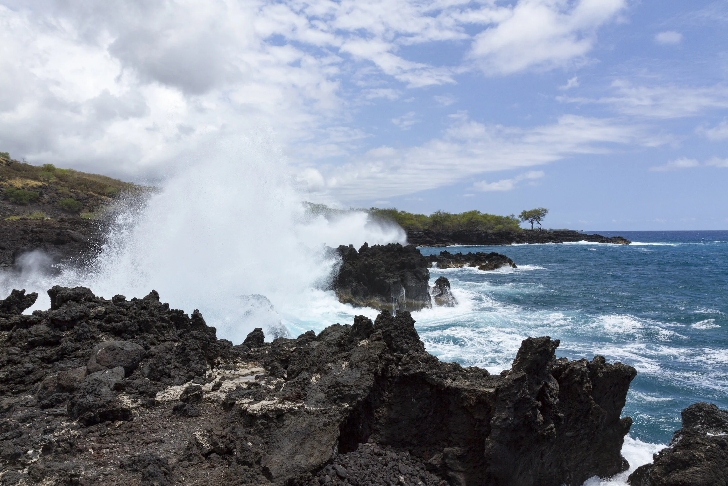 042917_Hawaii_0434_PX.jpg