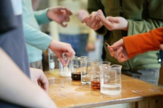Eighth grade science experiment