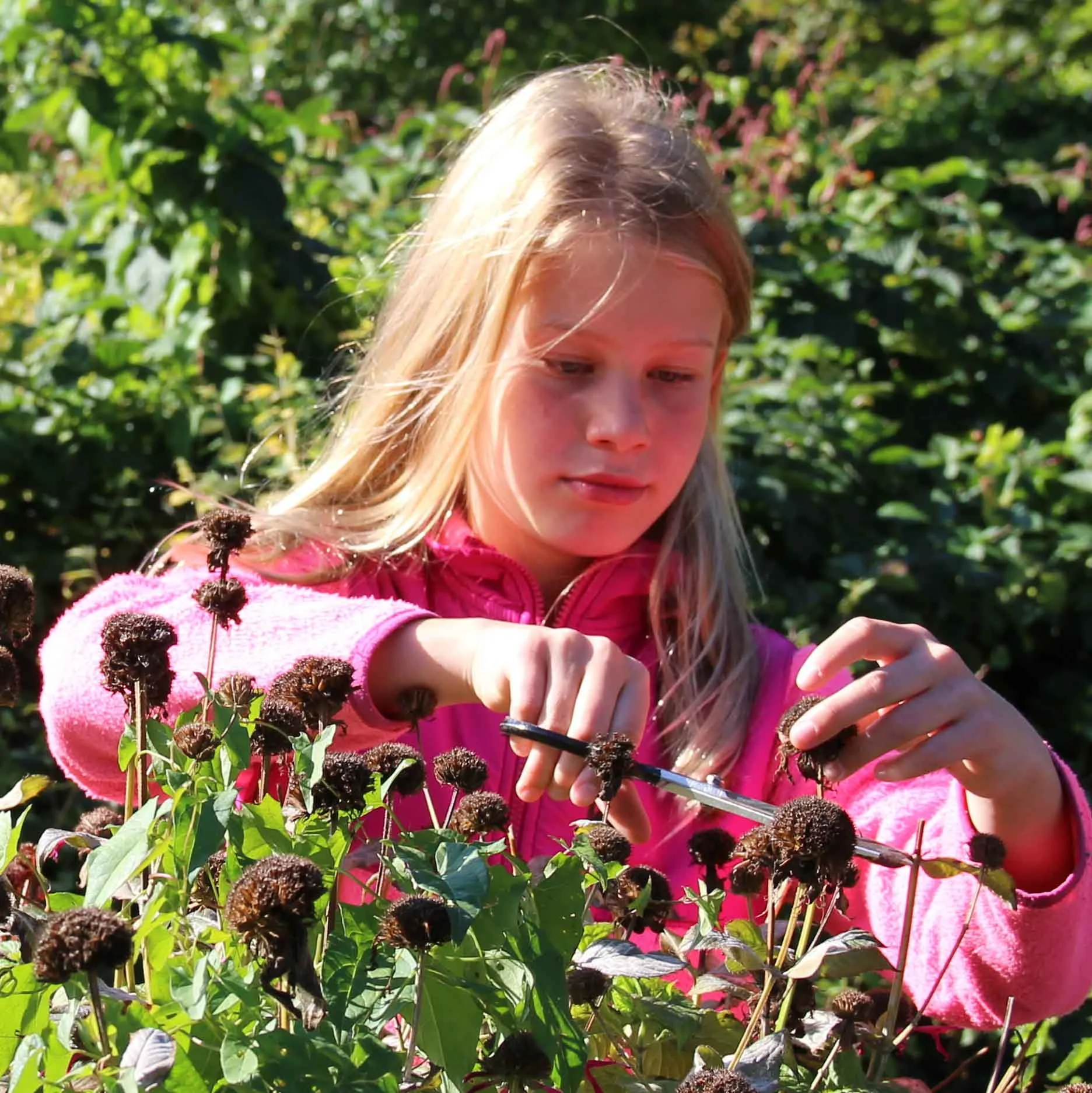 “The more high-tech we become, the more nature we need.” — Richard Louv , author of Last Child in the Woods and The Nature Principle .
