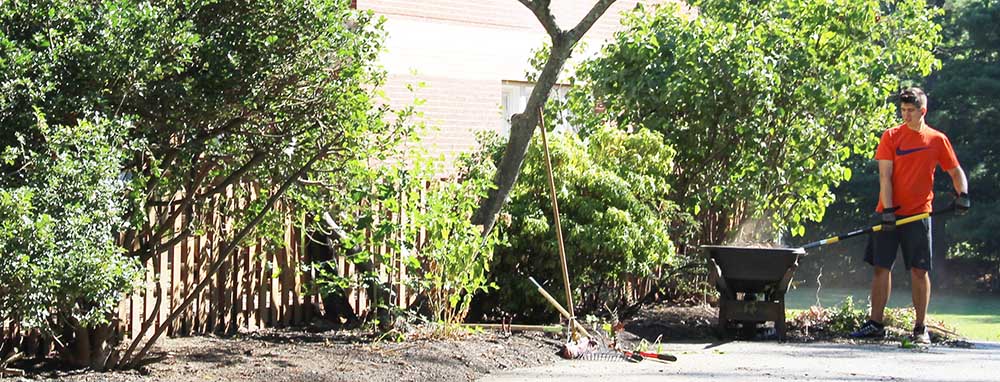 Garden beds were weeded and replanted, bushes were pruned, and the grass was kept alive through the severe drought. Special thanks to parent and incoming board member Demetra Restuccia , who designed new landscaping for the front of the Adams building.