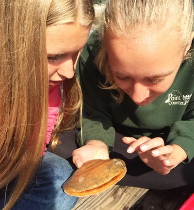 Learning in nature and connecting with the natural environment are hallmarks of Waldorf education.