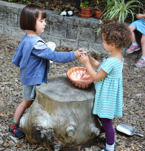 Nursery students at WSL enjoy outdoor time, whether it's exploring the nearby pond and conservation land or developing new friendships in our play yards.