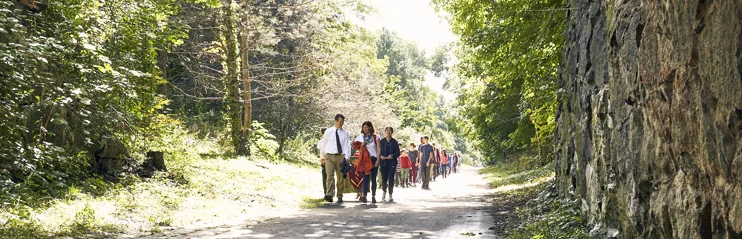 The Waldorf School of Lexington’s campus abuts the Minuteman Rail Trail, connecting the school to Arlington’s Great Meadows as well as green space in our home town of Lexington.