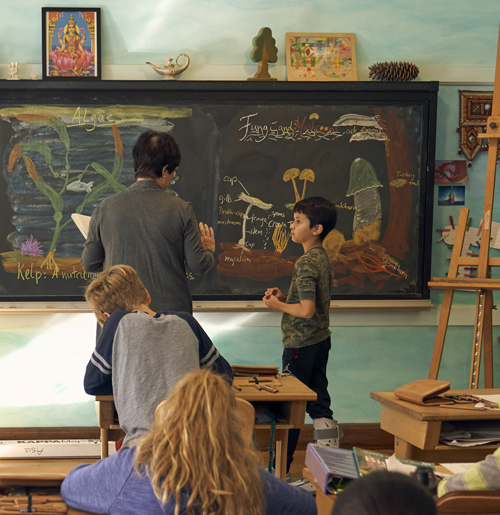 Waldorf teachers turn the ordinary chalkboard into an extraordinary teaching tool. Above: a 5th grade botany lesson.