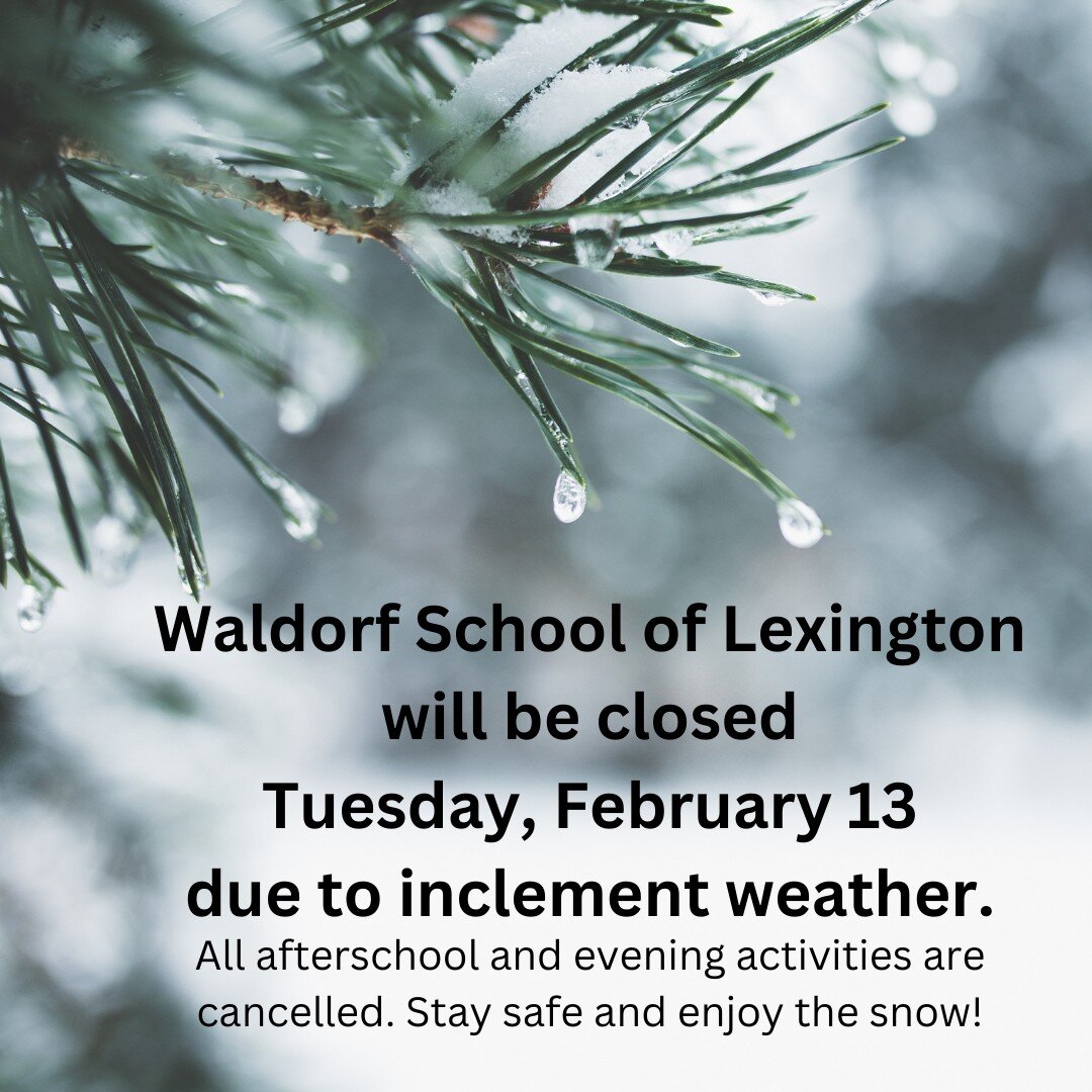 ❄Snow Day! WSL will be closed Tuesday, February 13 due to inclement weather. All afterschool and Tuesday evening activities are cancelled. Stay safe and enjoy the snow!