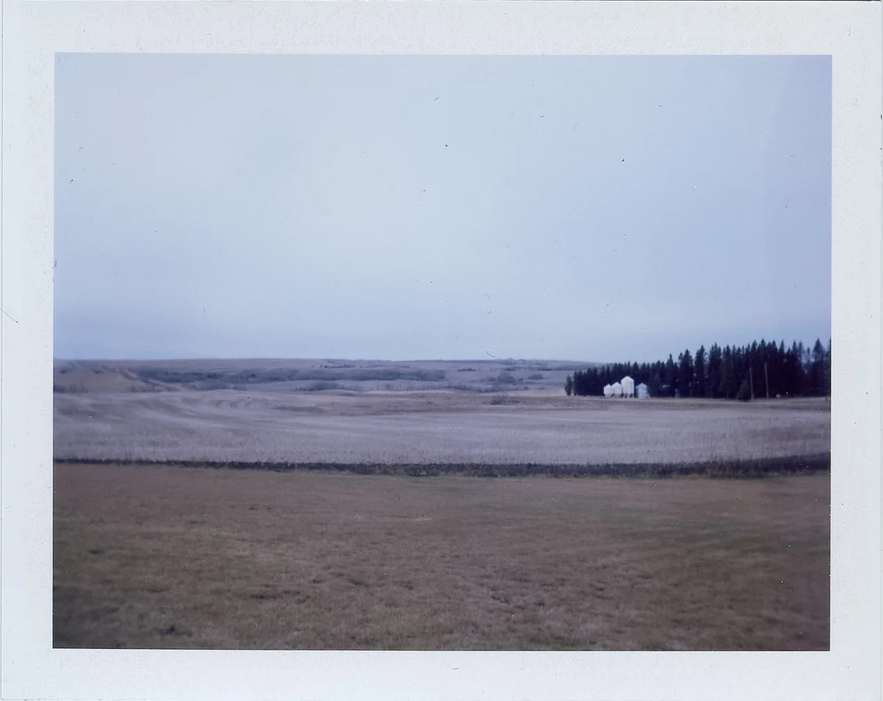 Home_Polaroid SX70_Impossible Film_Home_Polaroid SX70_Impossible Film_Home_Polaroid SX70_Impossible Film_Home_Polaroid SX70_Impossible Film_Todd Connaghan.jpg