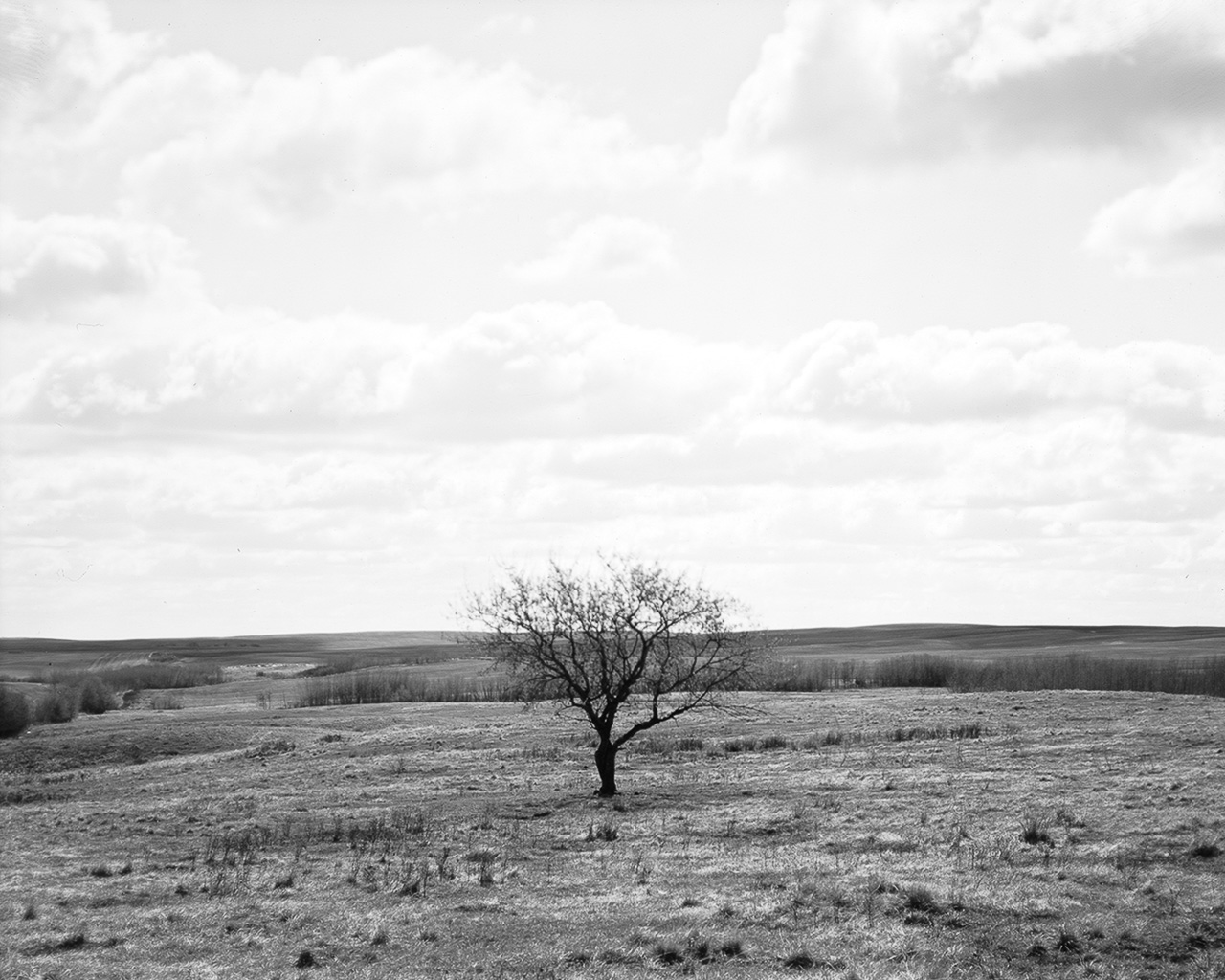 20160403-untitled-ILFORD-MGIV-ISO6-4x5-461.jpg
