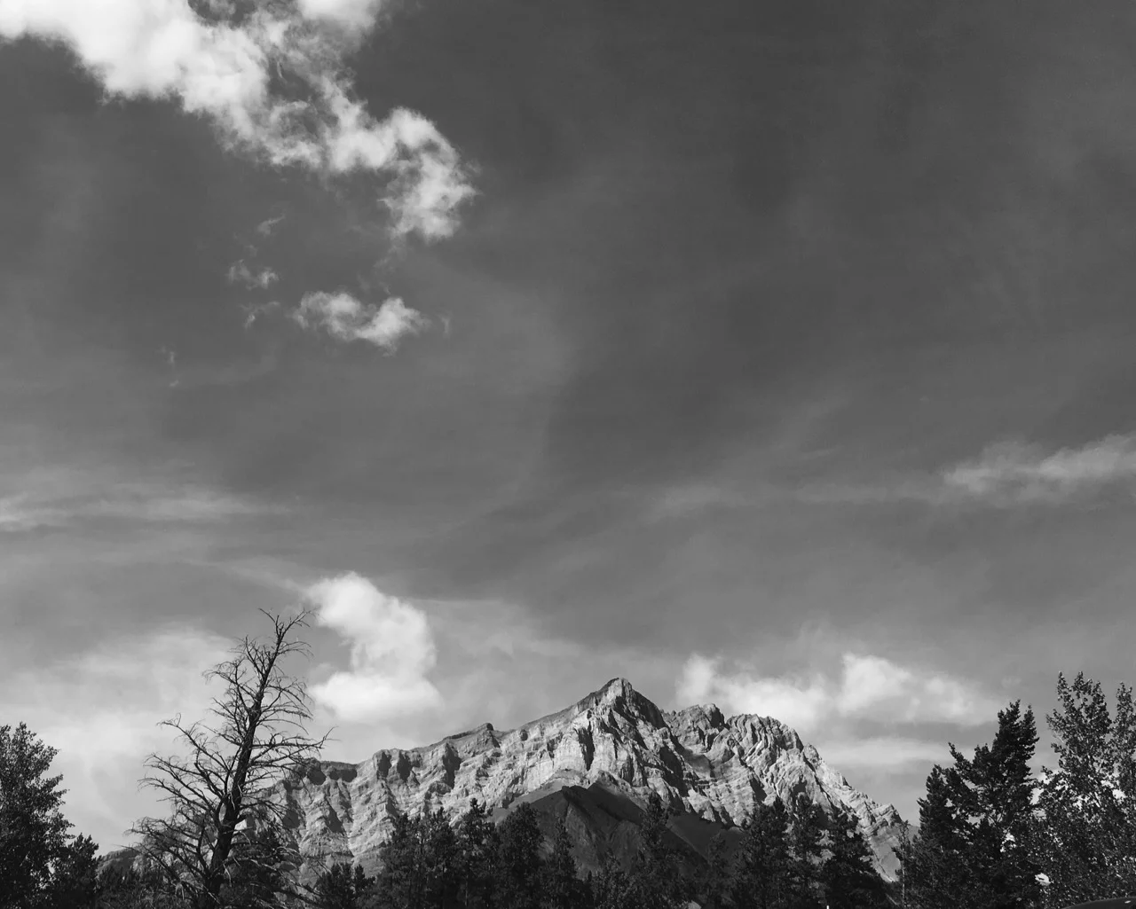 IMG_0137.jpg