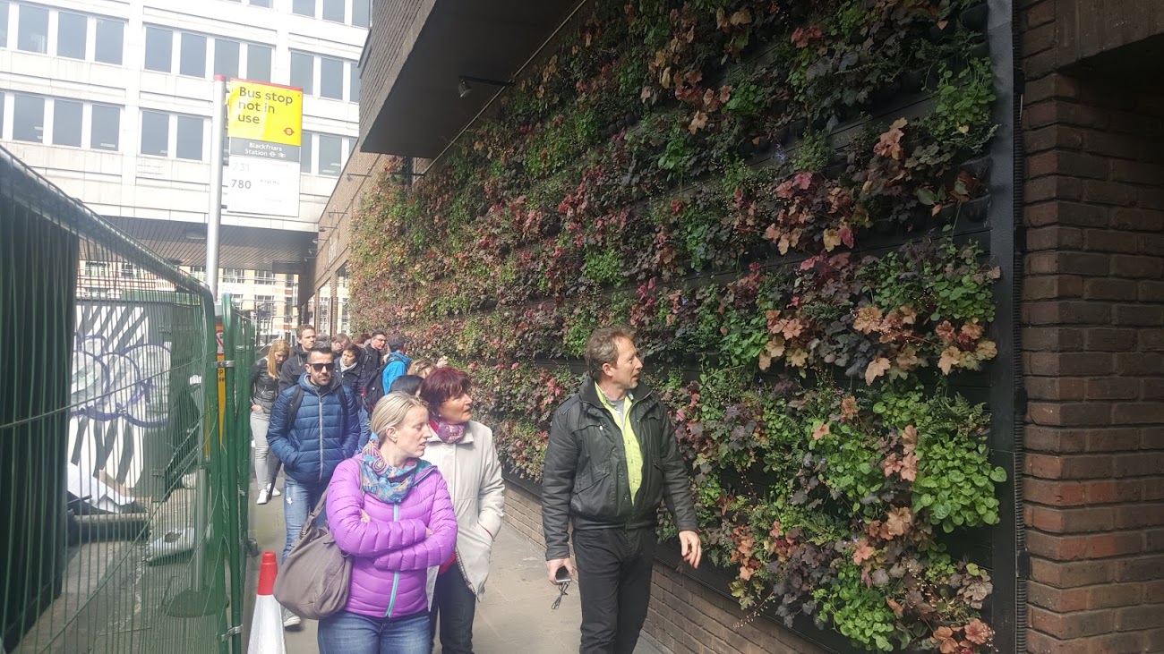 Mobilane - Mermaid Theatre - Puddle Dock EC4V 3DB. On my opinion too little substrate for perennials or unequal irrigation with wick textile on sunny exposure.