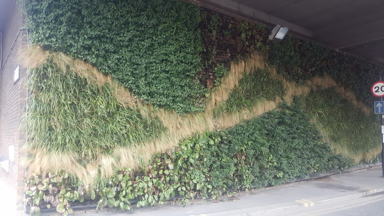 ANS - Puddle Dock EC4V 3DB. Durable green wall under the bridge. Good looking with some dried plants in two areas but not too critical.