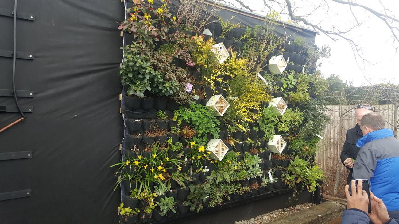 Wild green wall with insect hotels and bird houses.