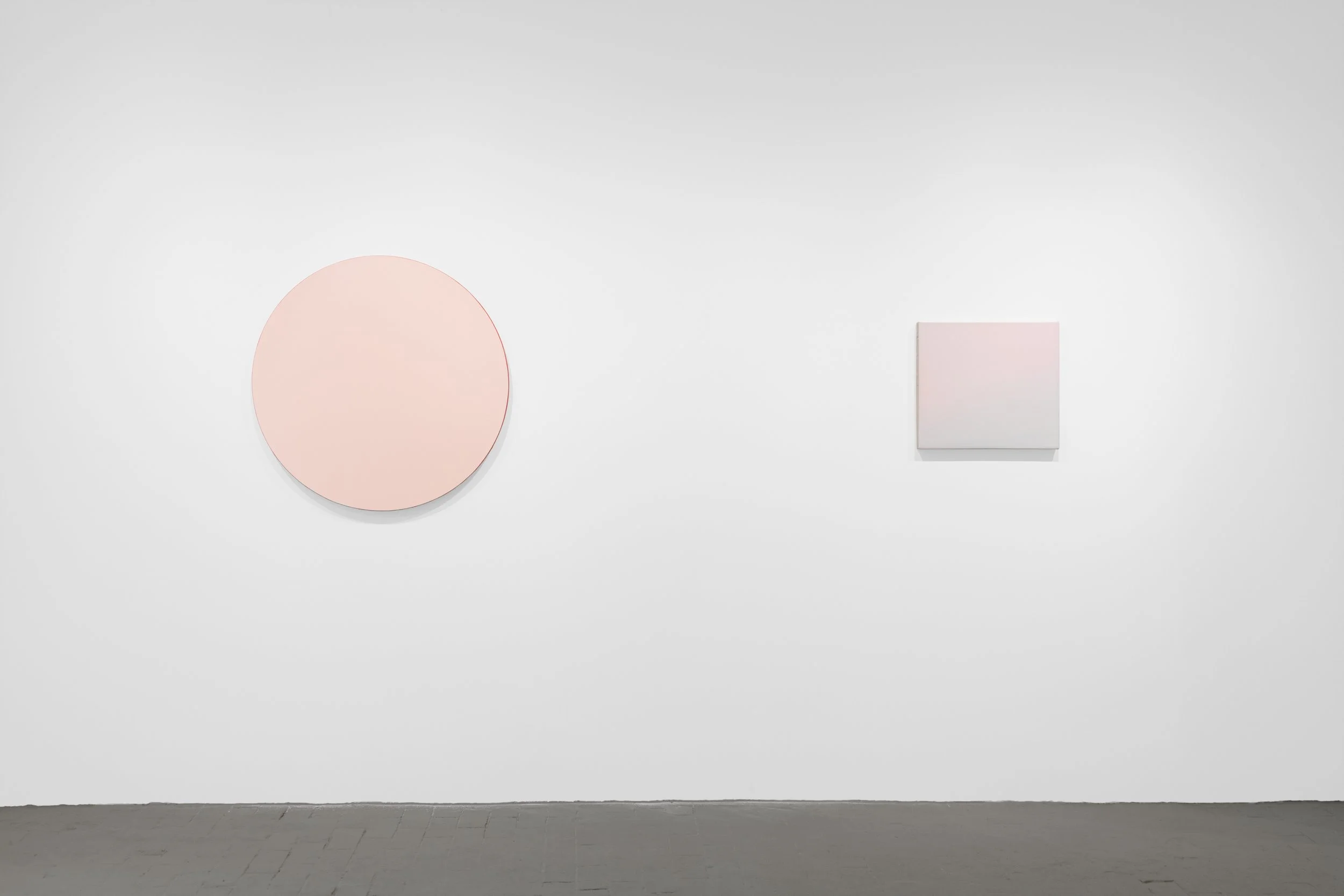 Practically Monochrome installation view