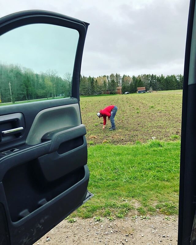 #farmerfriday features Trenton! He&rsquo;s checking to see how the hay fields are coming along. We cut these fields for feed. We cut the mix, bale it up into big round bales, then we store it to use as feed for our cows over the winter! 🐮🌾.
.
.
.
.