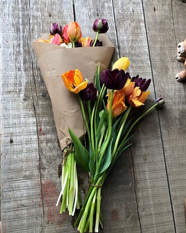 If you love having fresh, beautiful flowers in your home every week, check out our online store for the bouquet of the week! 💐 .
.
. order them from our online farm store at the beginning of the week and pick them up at the farm store on Saturday&rs