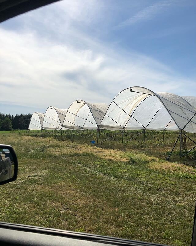 High Tunnels went up this morning ! .
.
.
. We use these to grow crops that are a little more needy. The tunnels help keep birds out and protect crops with weaker skin from the sun and the rain. We grow a lot of melons, raspberries and tomatoes under