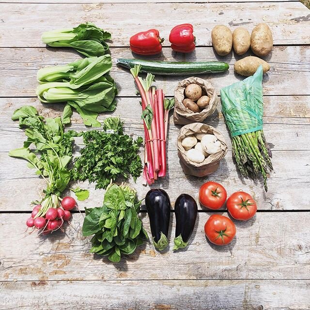 Week 2 items for our CSA Shares ! .
.
. These are the items our members got to choose from in their customizable boxes.
.
.
. Bok choy, peppers, potatoes, eggplant, rhubarb, green house tomatoes and cucumbers from @link_greenhouses, parsley, radish, 