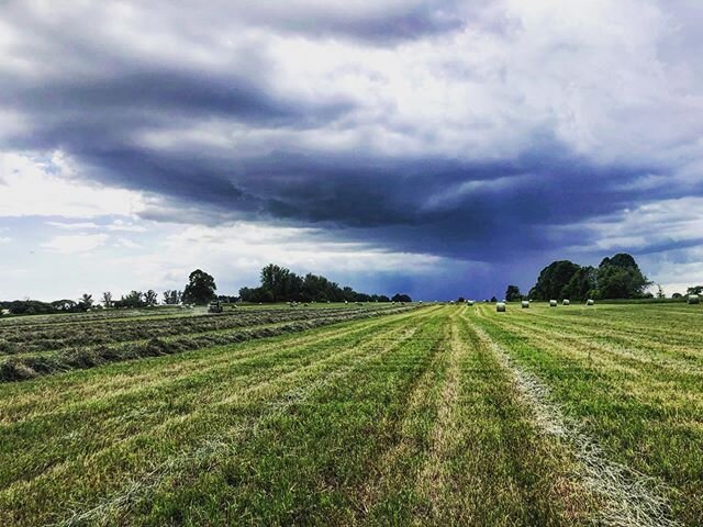 Working with Mother Nature means trying to beat the rain to get hay baled! We need a good rain, so we have to take what we can get . 🌧🌾. .
.
.
. Some where in this photo you can see Trent in the tractor baling hay! Can you spot him ? 🔍🚜
.
.
.
. #