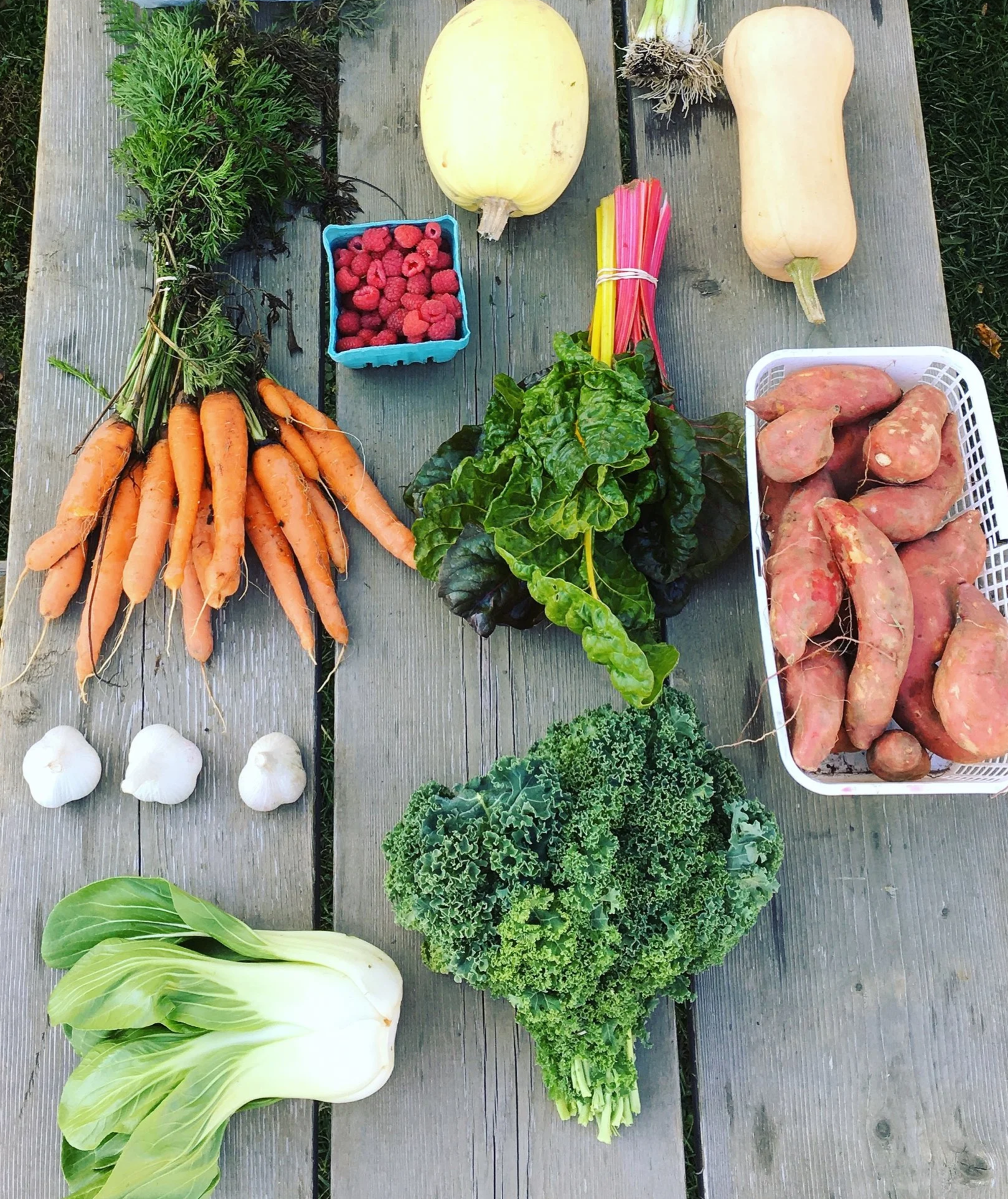 A wooden picnic table with produce on it such as kale, a bunch or orange carrots, garlic, bok choy, a basket of sweet potates, squash, raspberries, and swiss chard