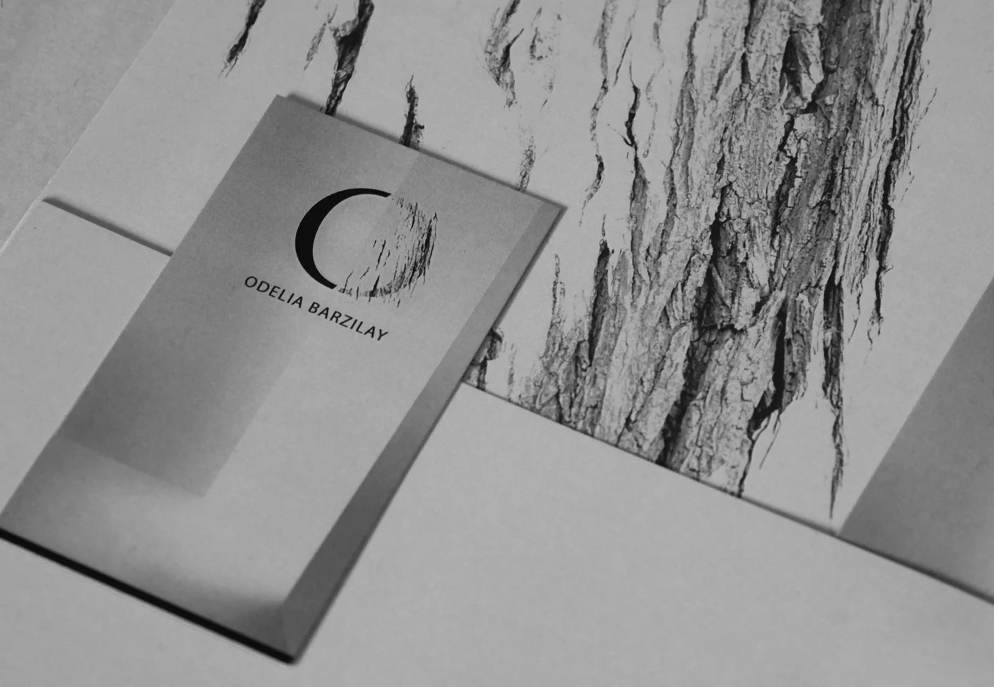 Odelia Barzilay - business card