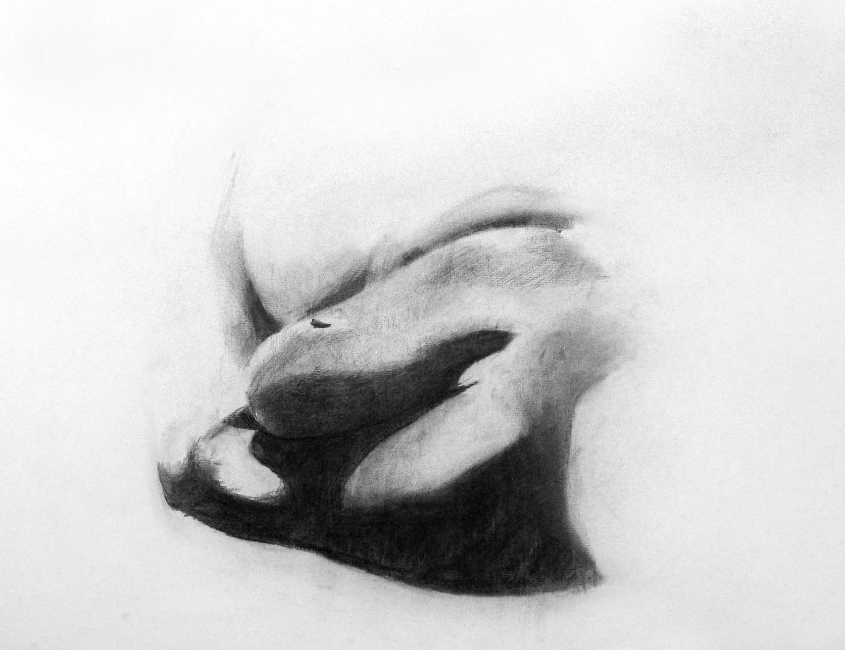 Sleeping Woman, charcoal on paper, 500x700 mm