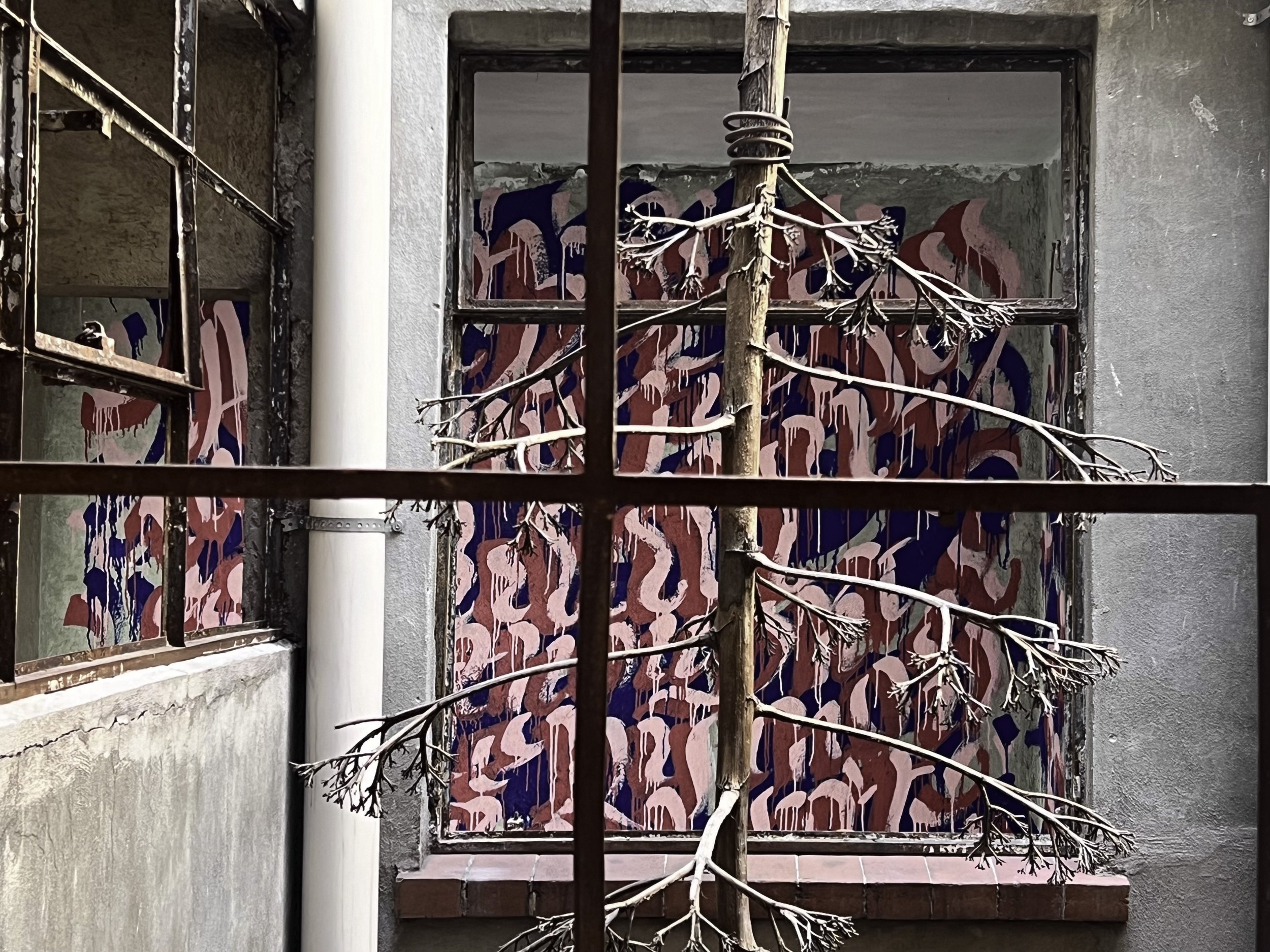 IMG_2037-Edit copy.jpg