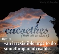 Word of the day ...