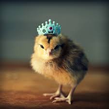 Coronation Chicken - geddit?