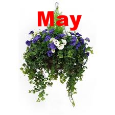 May