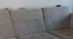 Hiding behind the sofa... No one would ever know...