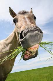 Do I have something in my teeth?