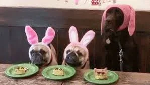 Make some new friends over dinner