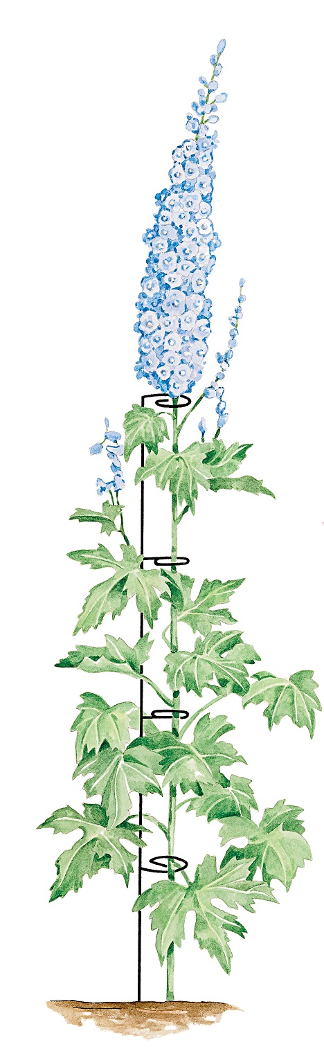 blue flower support.jpg