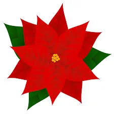 poinsettia.jpg