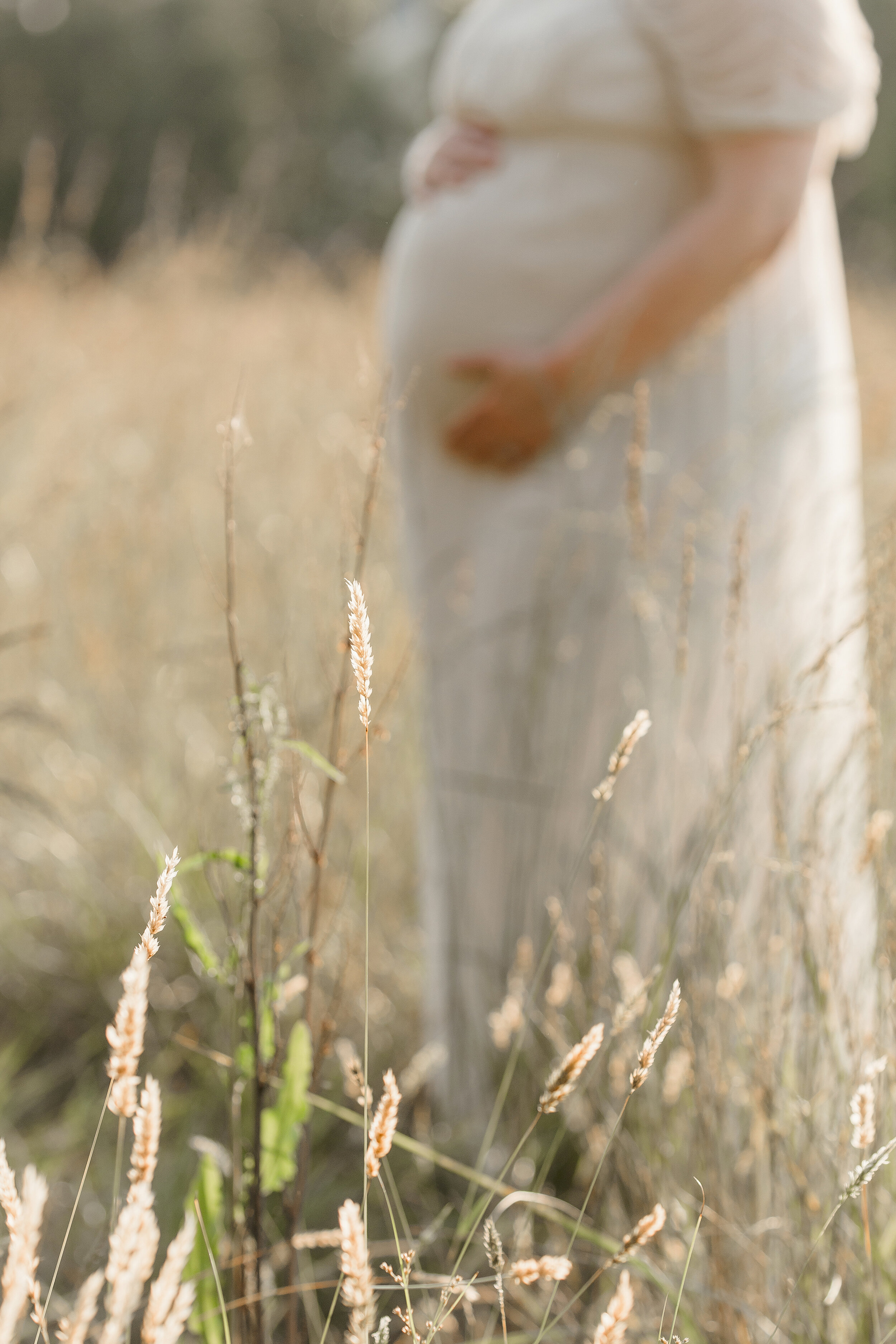 Outdoor Raleigh Maternity Session Raleigh maternity photographer (5).jpg