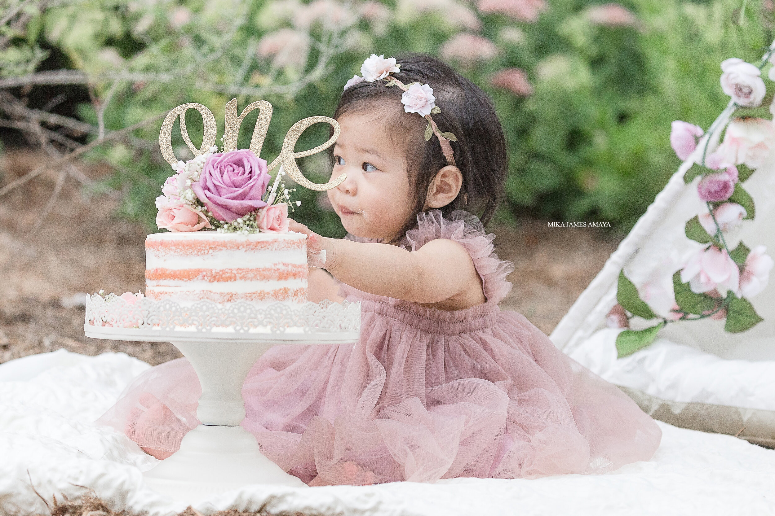 raleigh first birthday cake smash photography