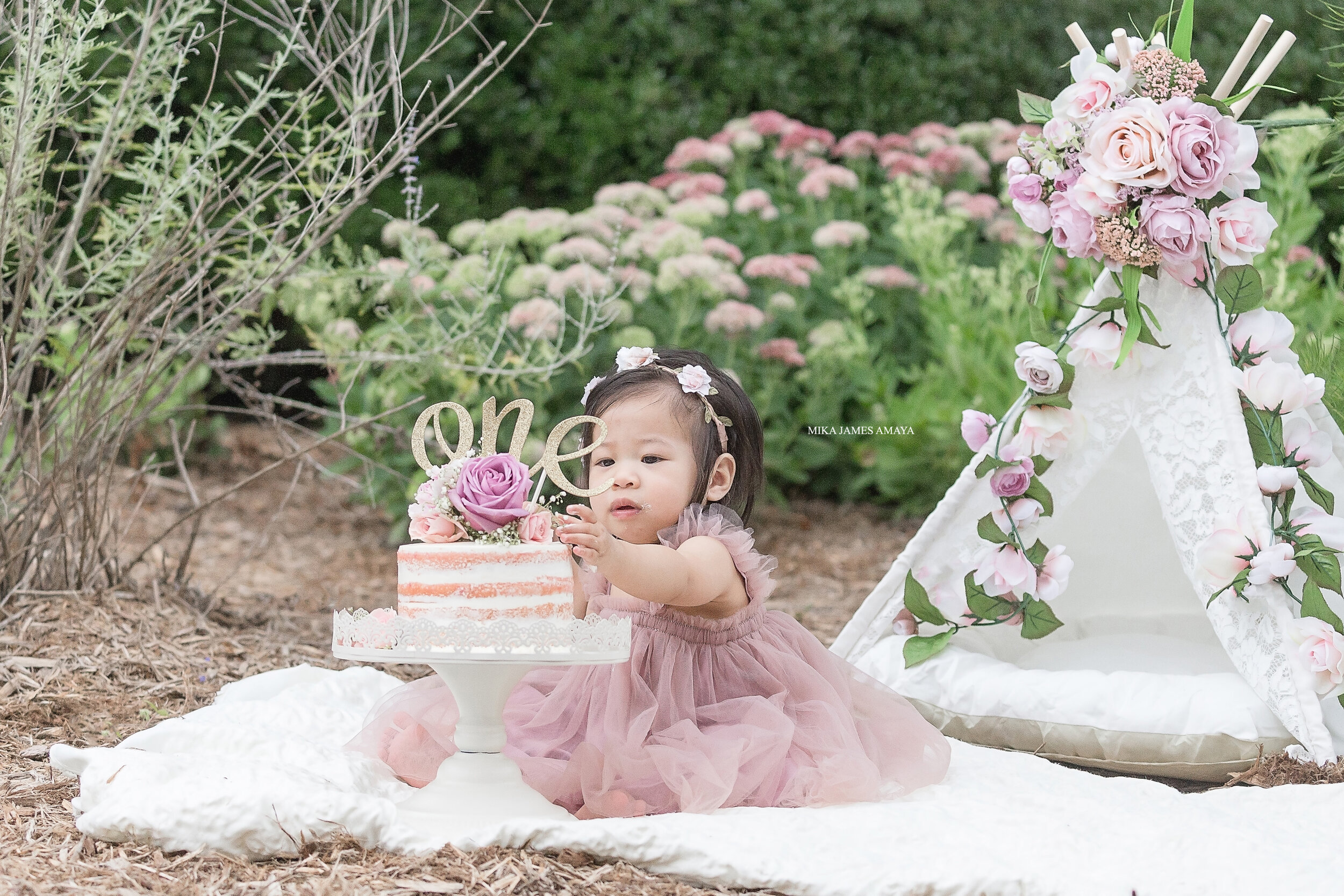 raleigh first birthday cake smash photography